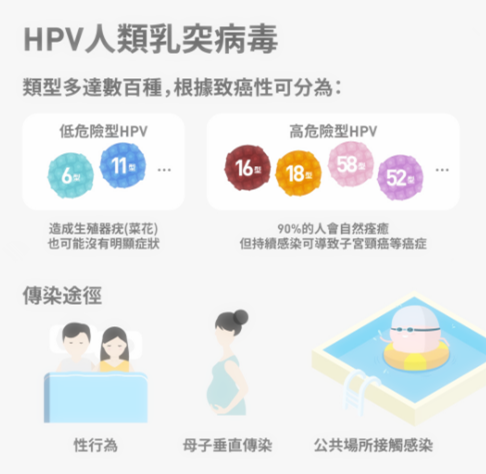 如何预防HPV病毒