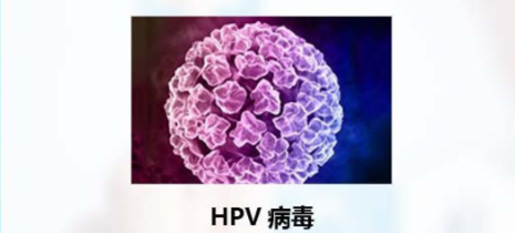 HPV病毒对男女双方的危害及接种九价疫苗的必要性