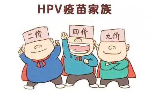 HPV能制造多少种肿瘤?