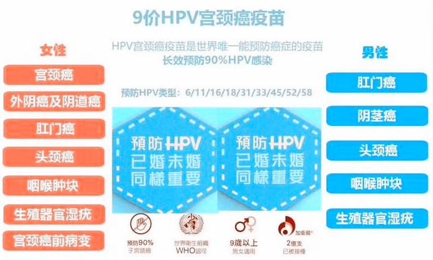 9价hpv宫颈癌疫苗预防哪些病毒？