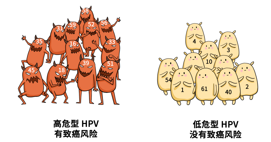 为什么没有性生活,还会感染HPV?