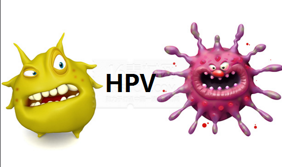 HPV病毒类型