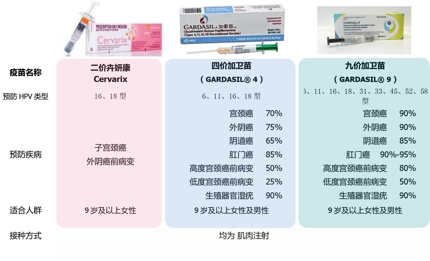 已婚已育可以打HPV疫苗吗?