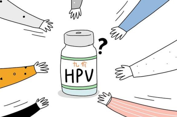 HPV病毒与宫颈癌是什么关系?