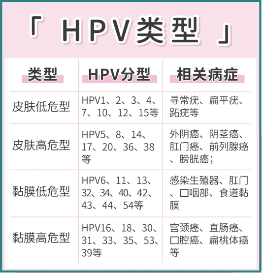 感染HPV病毒后一定会导致宫颈癌吗?